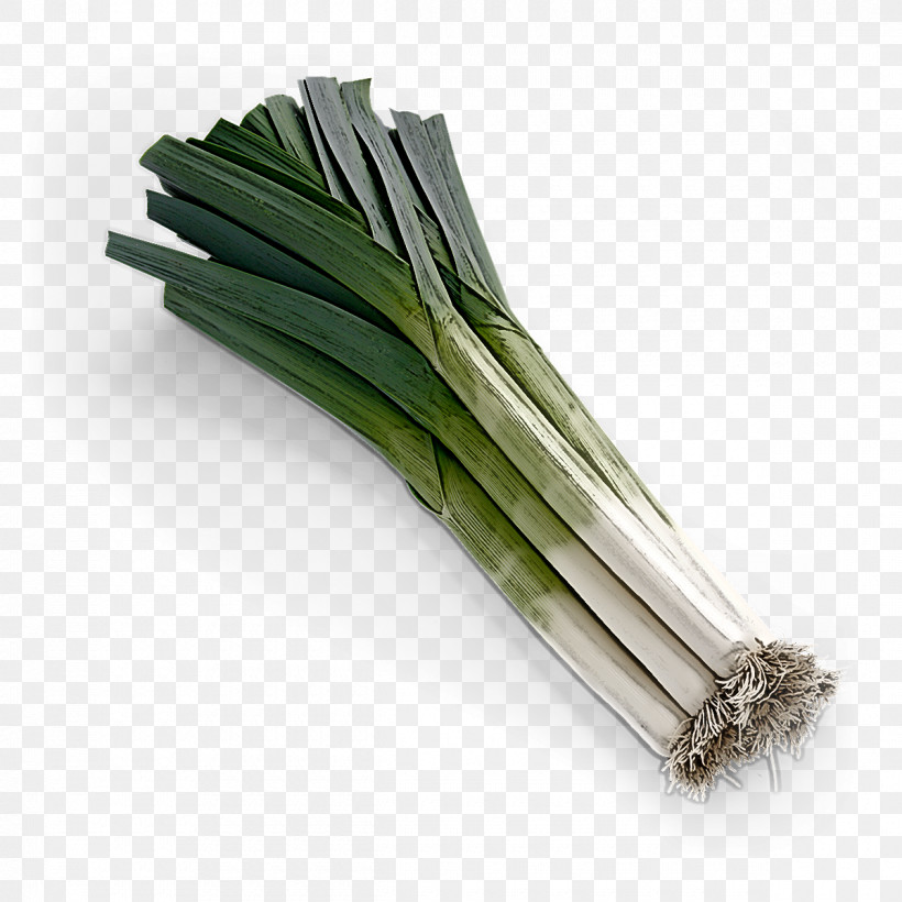 Welsh Onion Vegetable Leek Plant Calçot, PNG, 1200x1200px, Welsh Onion, Allium, Chives, Food, Grass Download Free