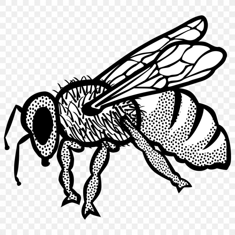Bee Insect Line Art Clip Art, PNG, 1000x1000px, Bee, Art, Arthropod, Artwork, Black And White Download Free
