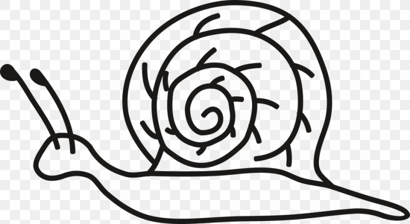 Clip Art Snail Drawing Coloring Book Image, PNG, 960x525px, Snail, Animal, Black And White, Coloring Book, Drawing Download Free