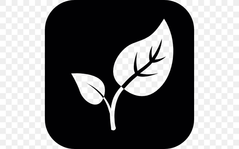 Plant Leaf Green, PNG, 512x512px, Plant, Black, Black And White, Branch, Color Download Free