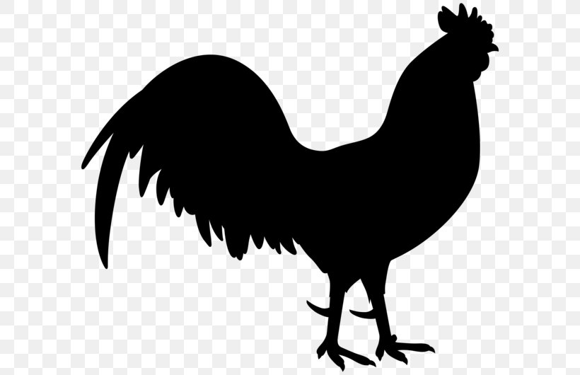 Rooster World Clip Art Silhouette Fauna, PNG, 600x530px, Rooster, Beak, Bird, Blackandwhite, Chicken Download Free