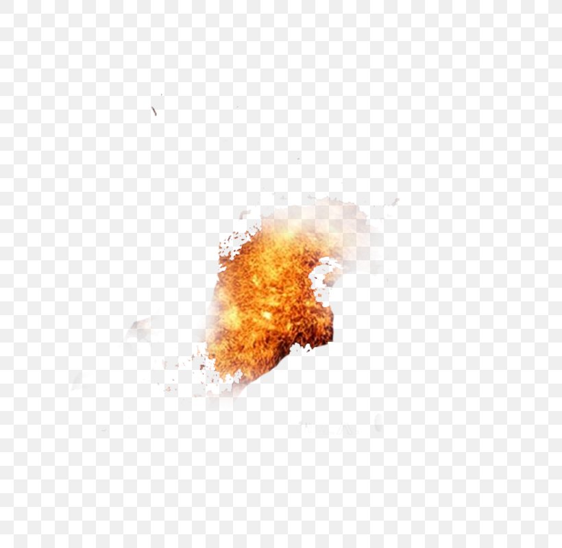 Fire Flame Download, PNG, 800x800px, Fire, Classical Element, Elemental, Explosion, Flame Download Free
