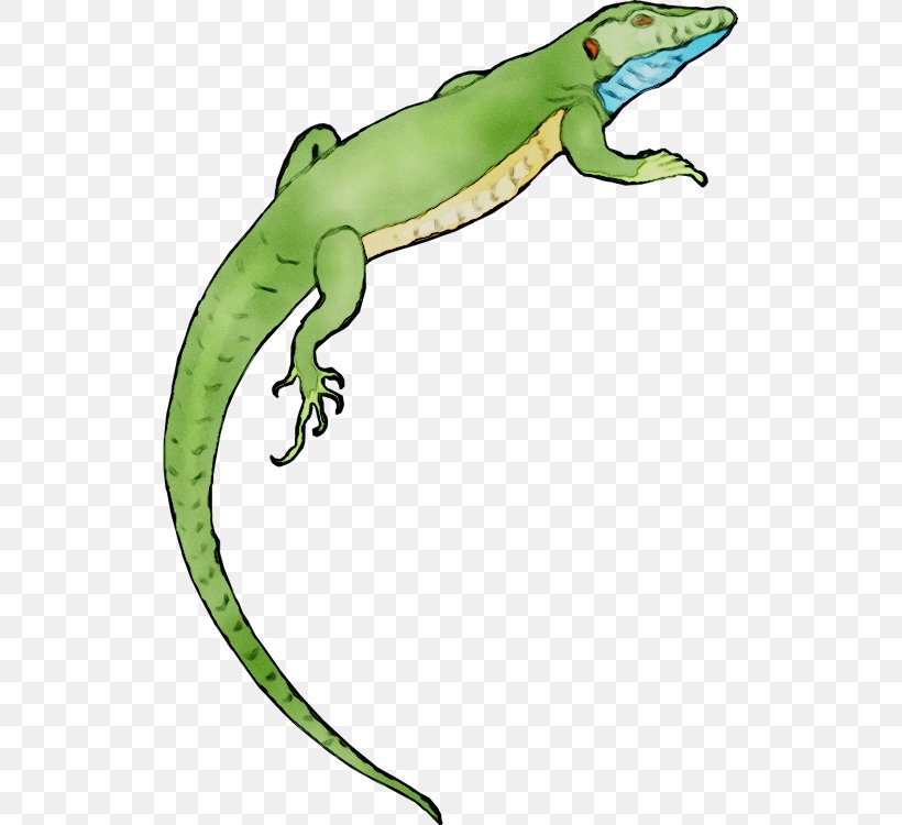Gecko Clip Art Frog Common Iguanas Terrestrial Animal, PNG, 523x750px, Gecko, Amphibian, Animal, Animal Figure, Anole Download Free