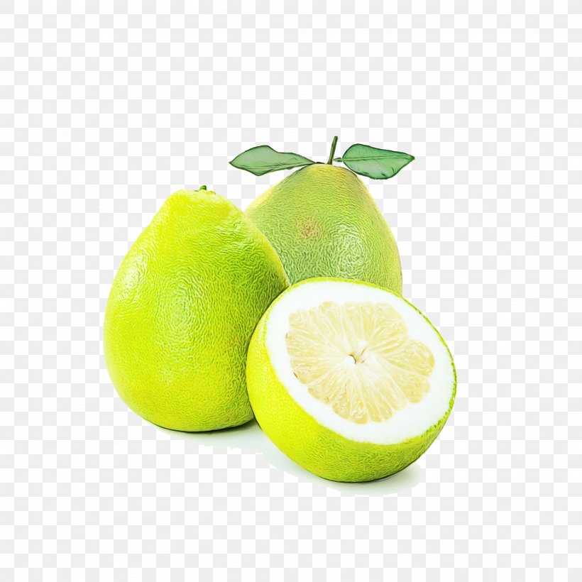 Lemon, PNG, 2048x2048px, Lime, Acid, Citric Acid, Citron, Citrus Download Free