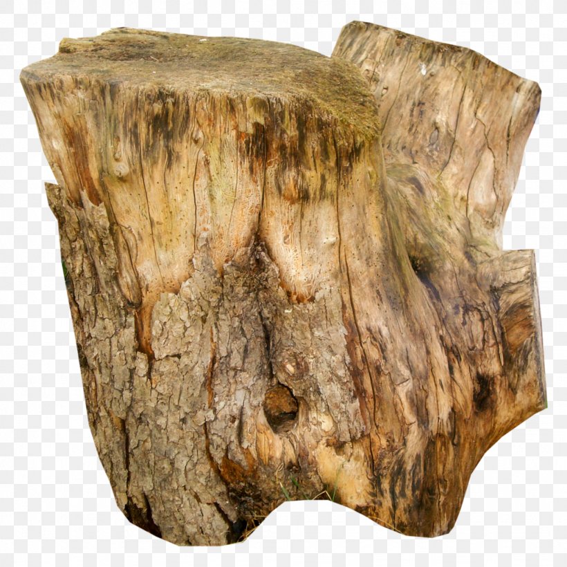 Trunk Tree Stump Wood, PNG, 1024x1024px, Trunk, Artifact, Bark, Bonsai, Branch Download Free