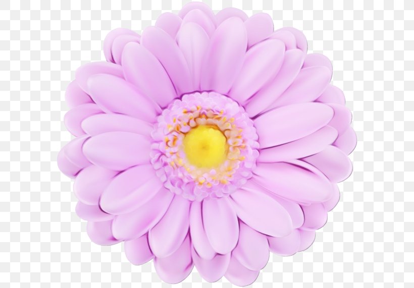 Lavender, PNG, 600x571px, Watercolor, Barberton Daisy, Flower, Gerbera, Lavender Download Free