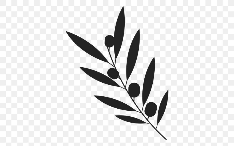 Olive, PNG, 512x512px, Olive, Blackandwhite, Botany, Branch, Drawing Download Free