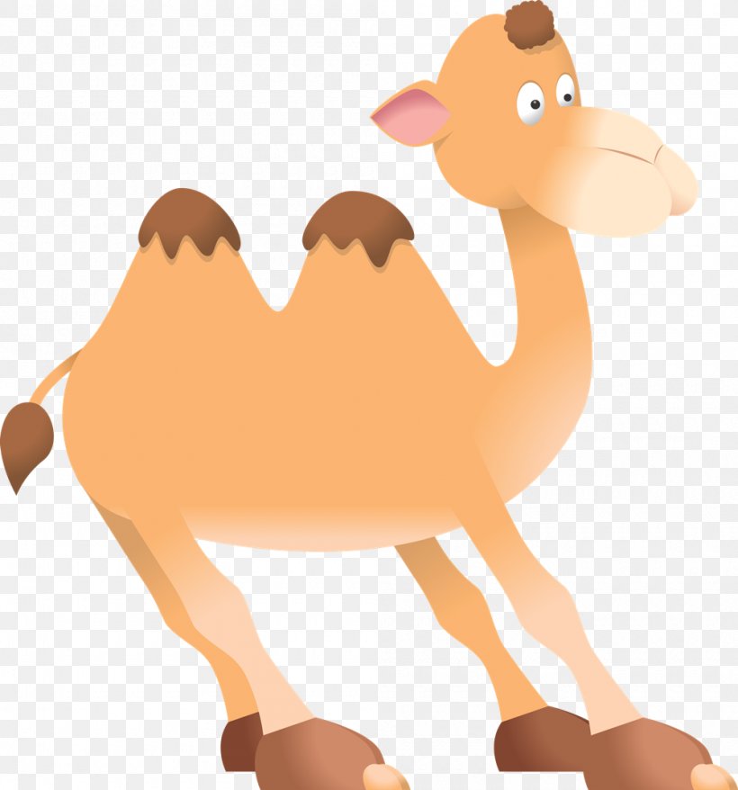 Bactrian Camel Cartoon Clip Art, PNG, 1000x1071px, Bactrian Camel, Arabian Camel, Beak, Camel, Camel Like Mammal Download Free