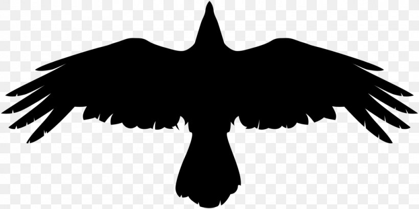 Bird Crow, PNG, 1024x511px, Bird, Art, Beak, Bird Of Prey, Black Download Free