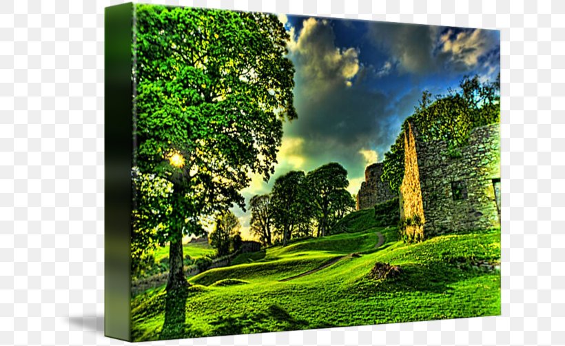 Dundrum Castle Canvas Print Art Printing, PNG, 650x502px, Canvas Print, Art, Artist, Canvas, Castle Download Free