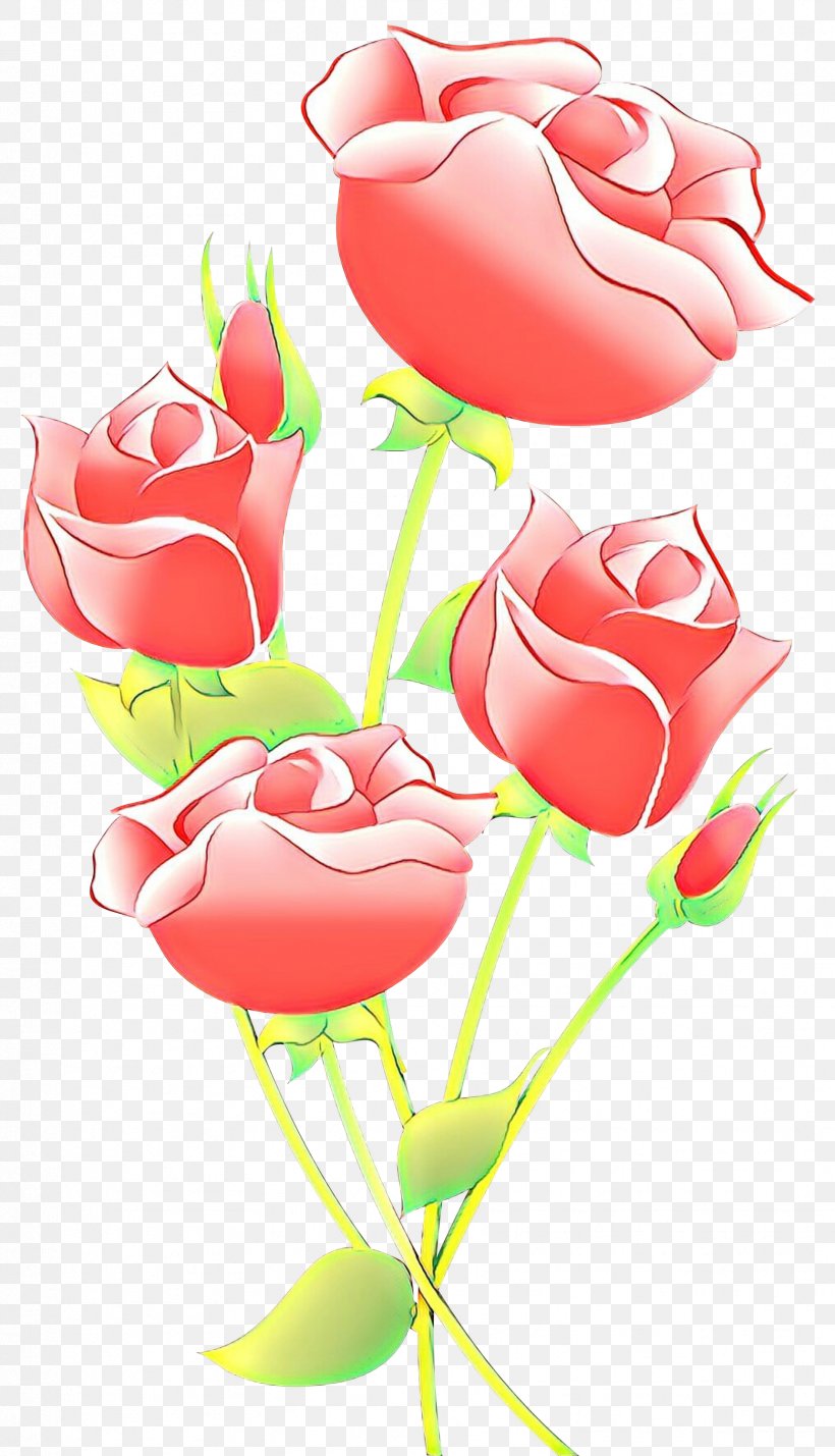 Garden Roses, PNG, 1721x3000px, Cartoon, Cut Flowers, Flower, Garden Roses, Petal Download Free