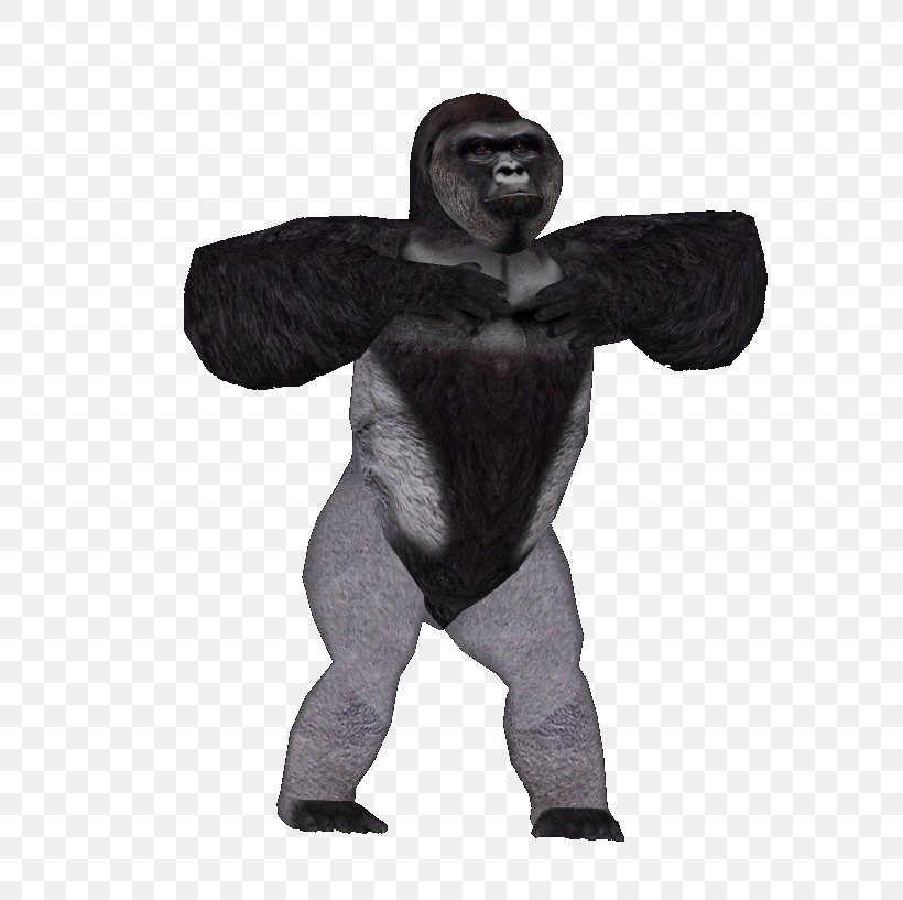 Harambe Desktop Wallpaper Gorilla, PNG, 634x817px, Harambe, Arm, Art, Background Check, Character Download Free