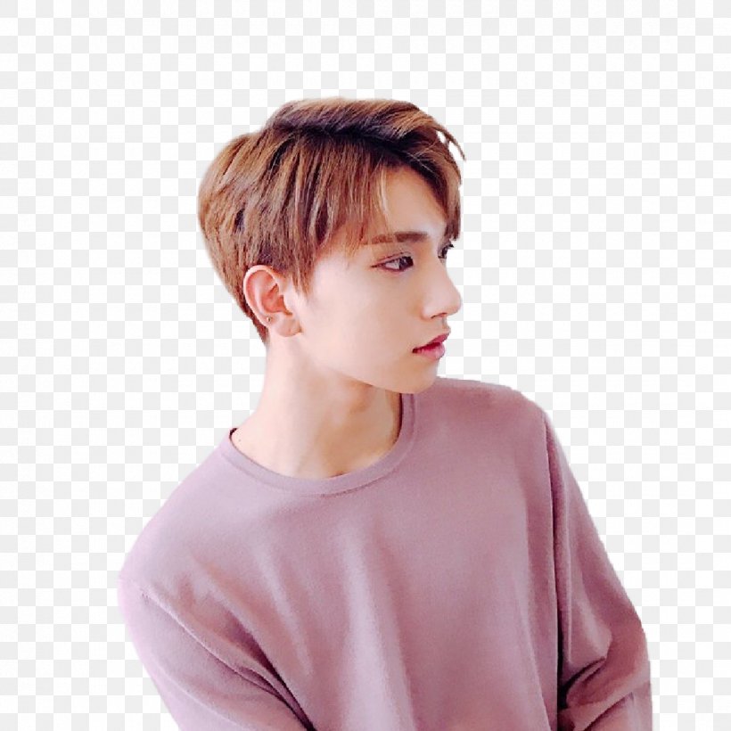 JOSHUA Don't Wanna Cry Seventeen Al1 Hair, PNG, 1080x1080px, 17 Carat, Joshua, Bangs, Brown Hair, Chin Download Free