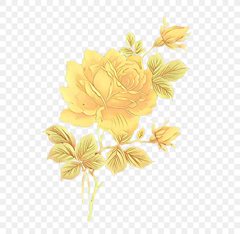 Bouquet Of Flowers Drawing, PNG, 533x800px, Cartoon, Botany, Cut Flowers, Drawing, Floral Design Download Free