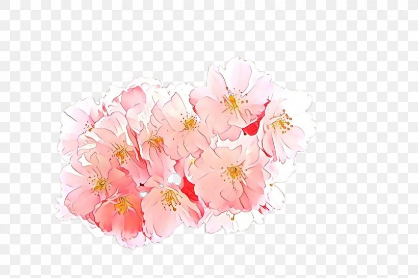 Cherry Blossom, PNG, 960x640px, Cartoon, Blossom, Bouquet, Branch, Cherry Blossom Download Free