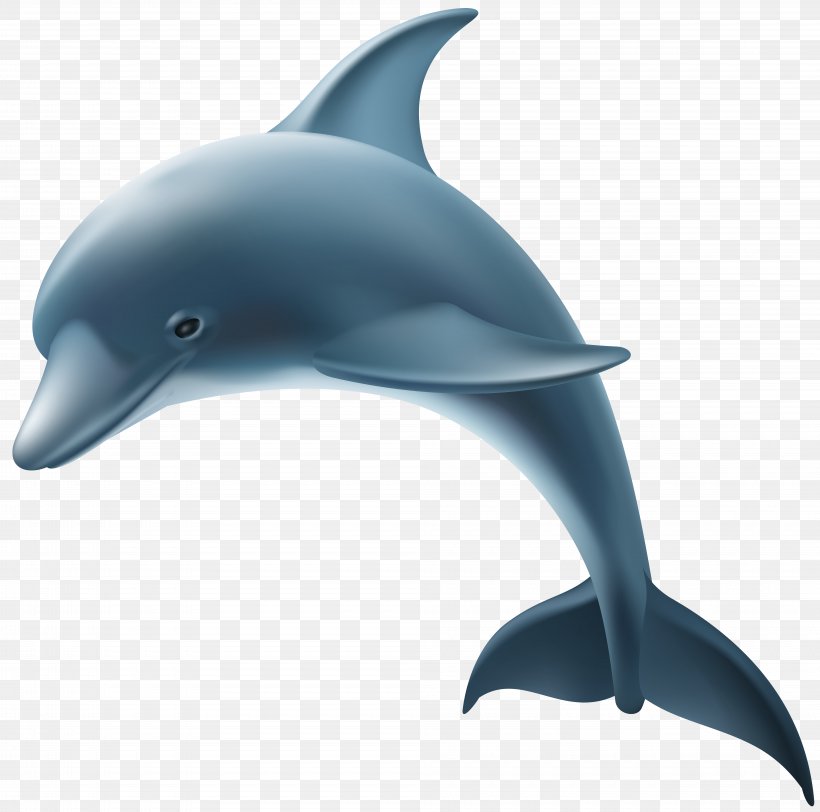Common Bottlenose Dolphin Transparency And Translucency Clip Art, PNG, 8000x7924px, Common Bottlenose Dolphin, Amazon River Dolphin, Baiji, Beak, Cdr Download Free