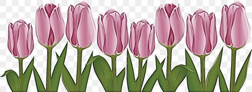 Flower Border Flower Background Floral Line, PNG, 1944x709px, Flower Border, Bud, Crocus, Cut Flowers, Floral Line Download Free