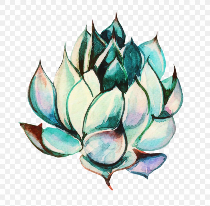 Lotus Flower, PNG, 1024x1006px, Petal, Agave, Aquatic Plant, Echeveria, Flower Download Free