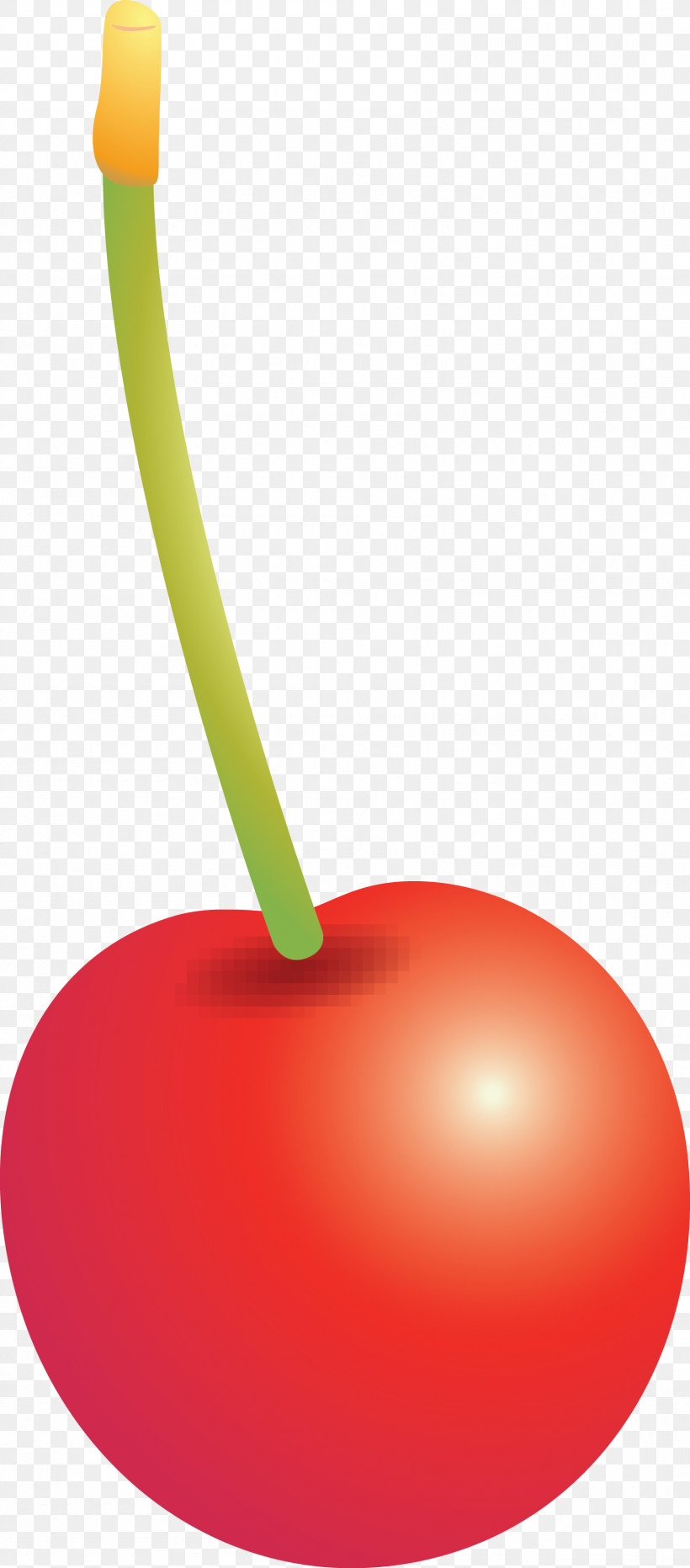 Cherry, PNG, 1665x3783px, Cherry, Drupe, Fruit, Plant Download Free