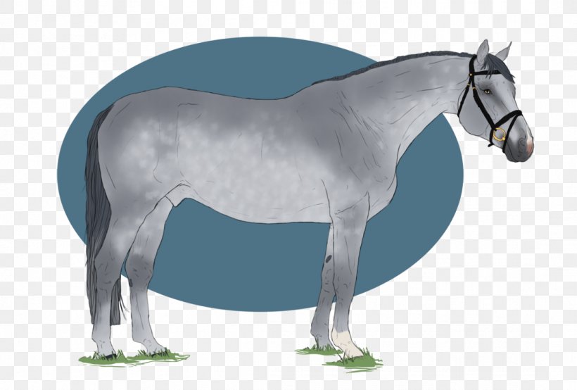 Mule Mustang Stallion Pony Mare, PNG, 1087x735px, Mule, Bridle, Colt, Dog Harness, Grass Download Free