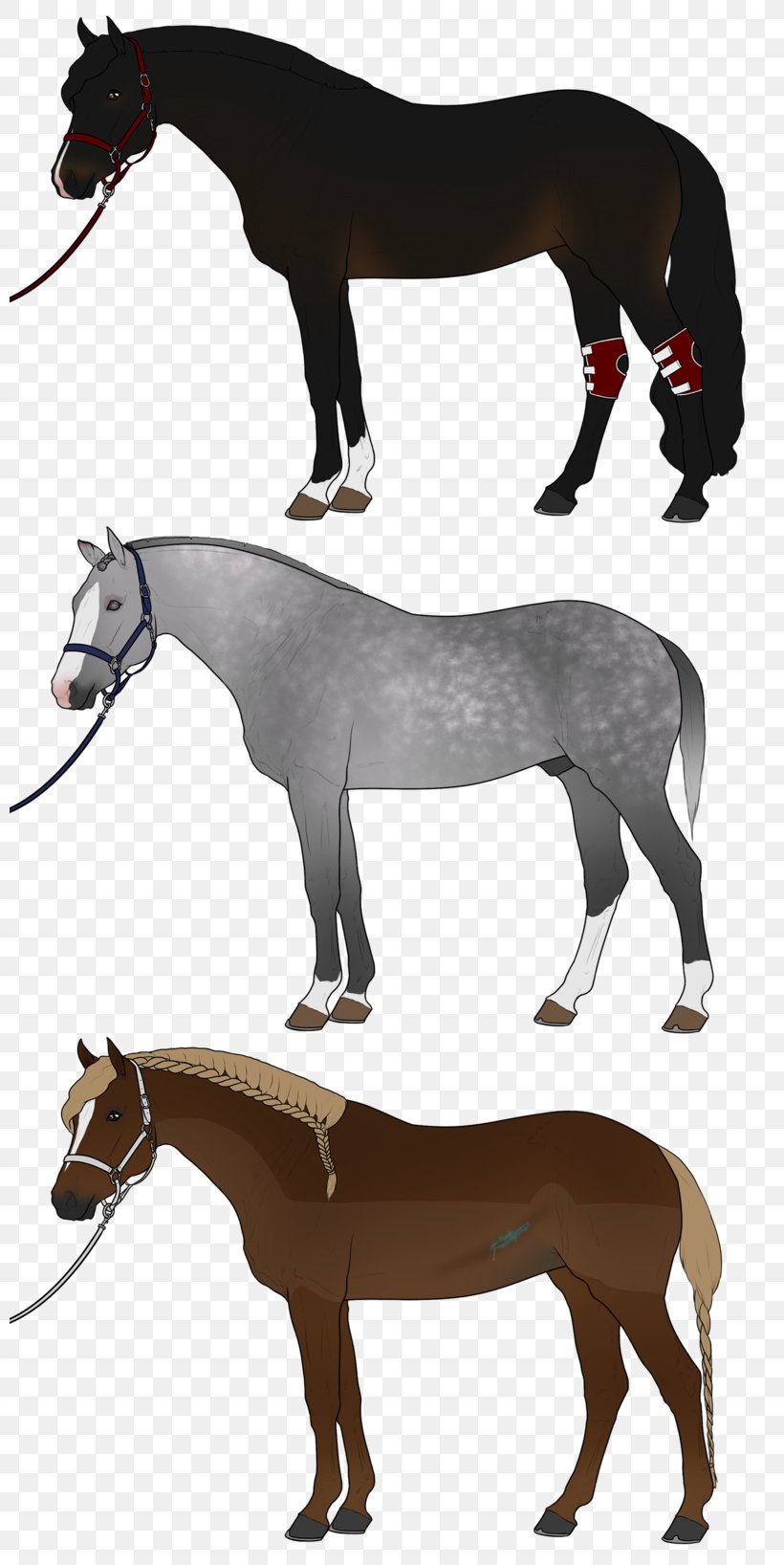 Mule Stock Photography Clip Art, PNG, 800x1636px, Mule, Donkey, Fauna, Fictional Character, Halter Download Free