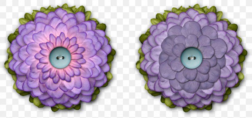 Purple Flower, PNG, 1023x478px, Purple, Chrysanths, Cut Flowers, Flower, Flower Box Download Free