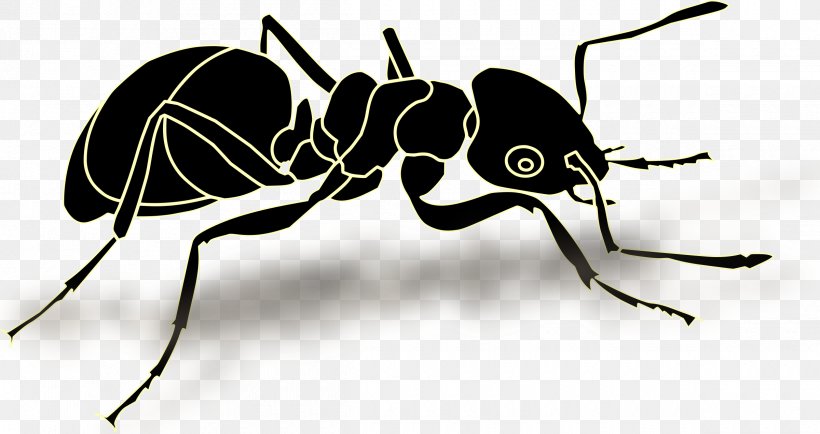 Ant Insect Vector Graphics Clip Art Illustration, PNG, 2400x1273px, Ant, Art, Arthropod, Black And White, Black Garden Ant Download Free