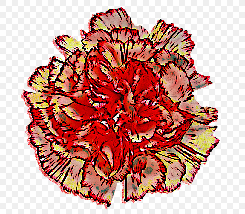 Carnation Cut Flowers Flower Red Plant, PNG, 720x718px, Carnation, Begonia, Cut Flowers, Dianthus, Flower Download Free