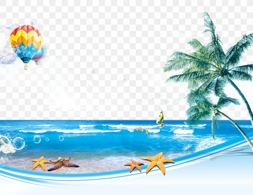 Fundal Beach Poster, PNG, 1000x771px, Fundal, Aqua, Area, Beach, Ice Download Free