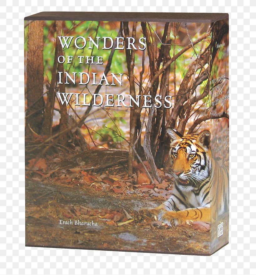 Tiger Wonders Of The Indian Wilderness Cat Fauna Picture Frames, PNG, 750x881px, Tiger, Big Cat, Big Cats, Book, Carnivoran Download Free
