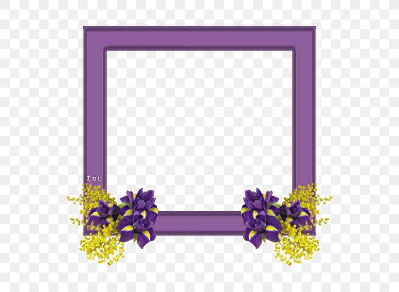Floral Design Mimosa Salad Cut Flowers Picture Frames, PNG, 550x600px, Floral Design, Border, Cut Flowers, Family, Flora Download Free