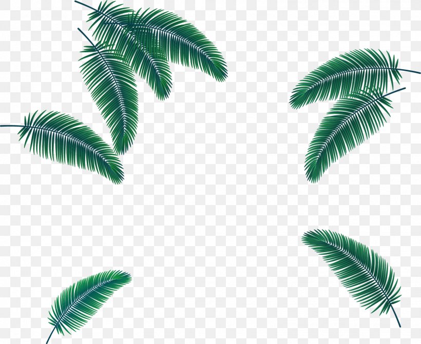 Leaf Flat Design, PNG, 1572x1288px, Leaf, Arecaceae, Arecales, Chemical Element, Feather Download Free
