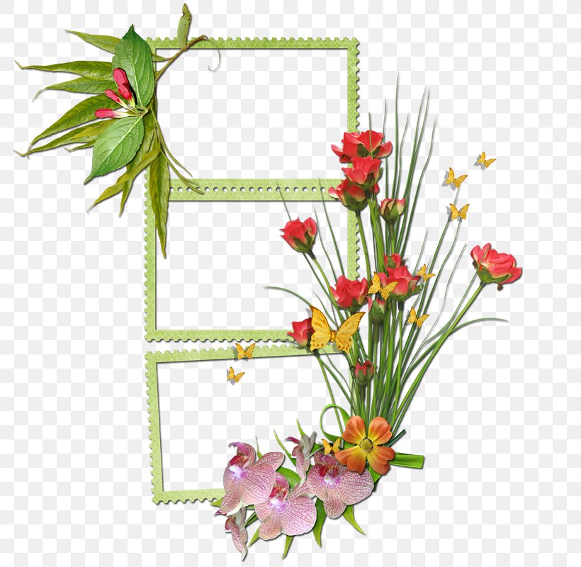 Vector Graphics Clip Art Design Image, PNG, 800x800px, Decorative Borders, Artificial Flower, Borders And Frames, Borders Clip Art, Cartoon Download Free