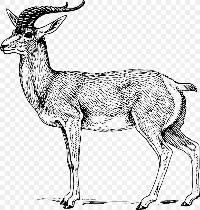 Antelope Clip Art, PNG, 1219x1280px, Antelope, Addax, Animal Figure, Antler, Black And White Download Free