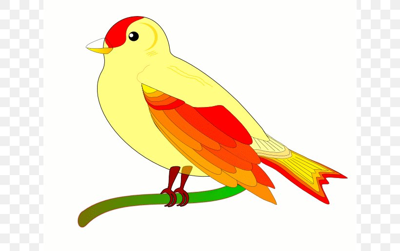 Bird Flight Animation Clip Art, PNG, 642x516px, Bird, Animation, Art, Artwork, Beak Download Free