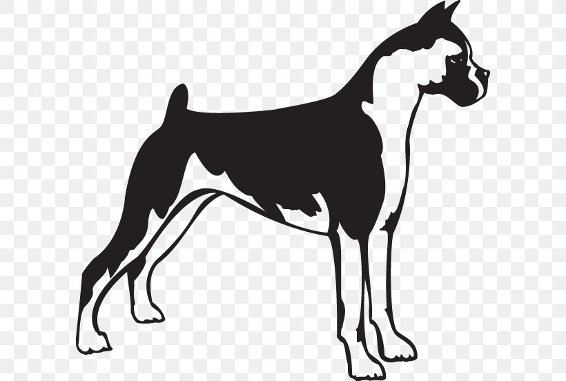Boxer Bull Terrier Puppy Clip Art Bearded Collie, PNG, 600x552px, Boxer, Bearded Collie, Black And White, Bull Terrier, Carnivoran Download Free