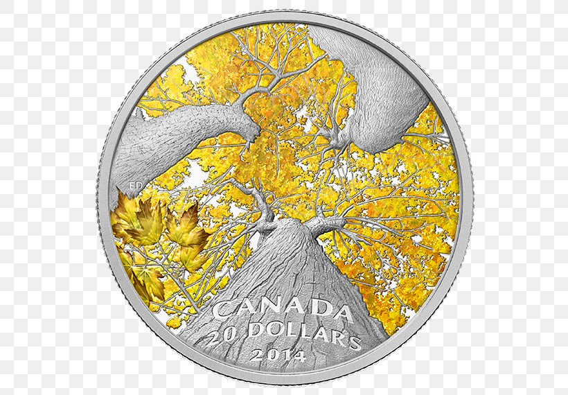 Canada Canadian Silver Maple Leaf Silver Coin, PNG, 570x570px, Canada, Canadian Gold Maple Leaf, Canadian Silver Maple Leaf, Coin, Dollar Download Free