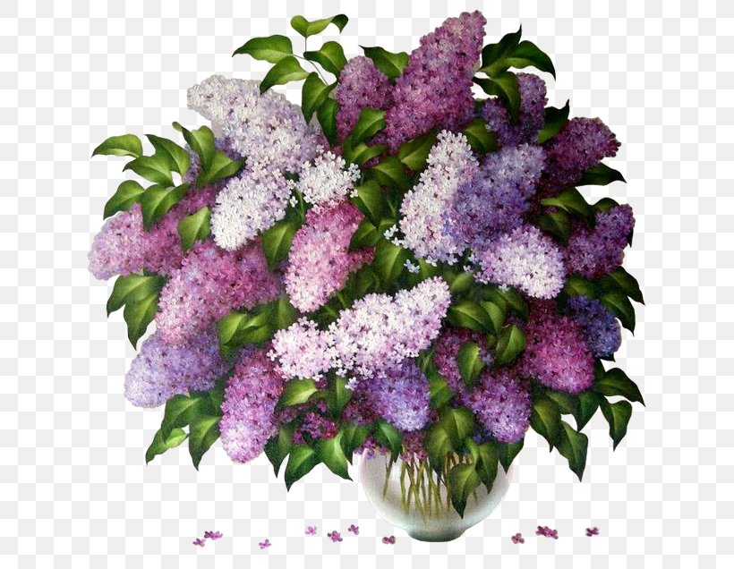 Common Lilac Garden Flower Clip Art, PNG, 650x636px, Common Lilac, Annual Plant, Cut Flowers, Floral Design, Flower Download Free