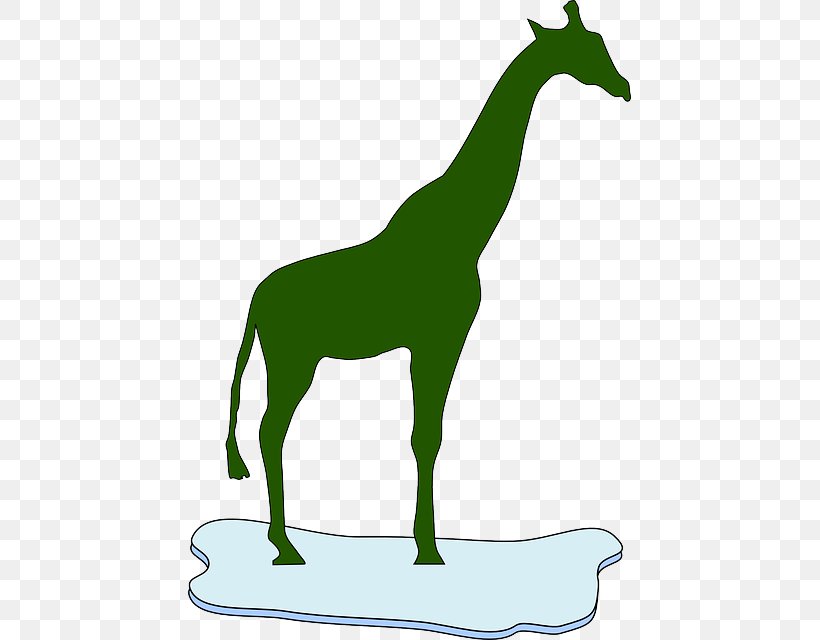 Okapi Northern Giraffe Clip Art Vector Graphics, PNG, 443x640px, Okapi, Animal Figure, Area, Black And White, Drawing Download Free