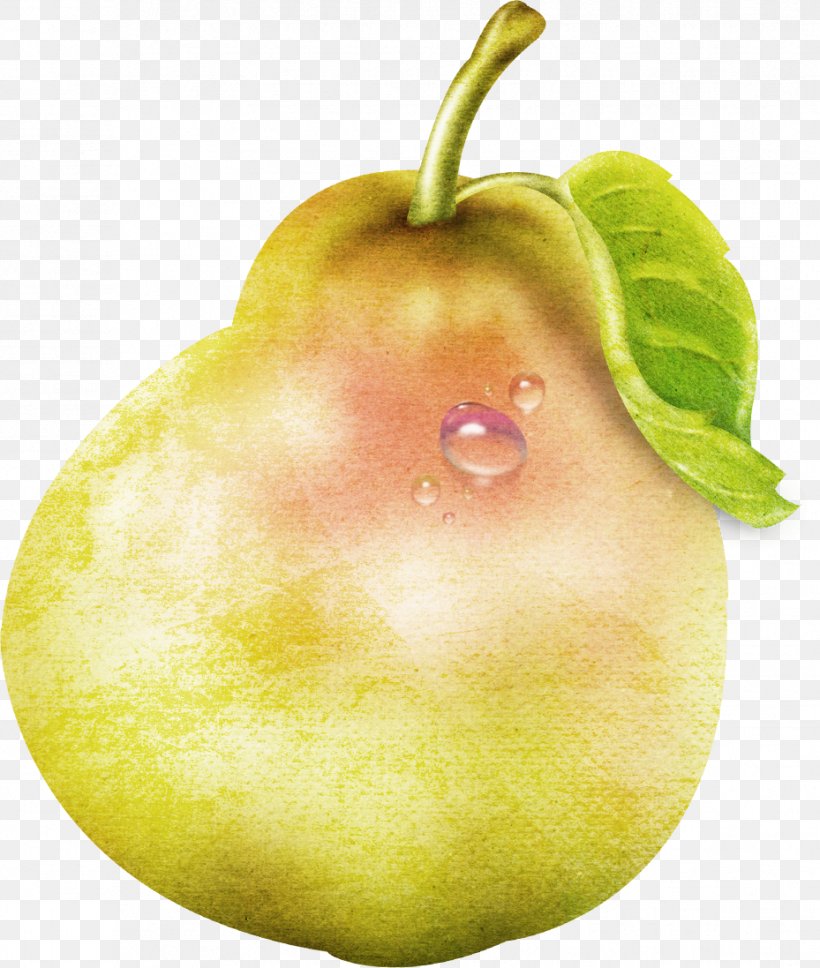 Pear Cartoon Photography, PNG, 929x1097px, Pear, Apple, Canary Melon, Cartoon, Designer Download Free