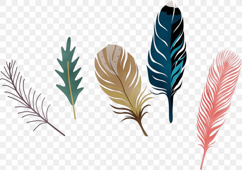 Feather, PNG, 2654x1864px, Watercolor, Cartoon, Comics, Drawing, Feather Download Free