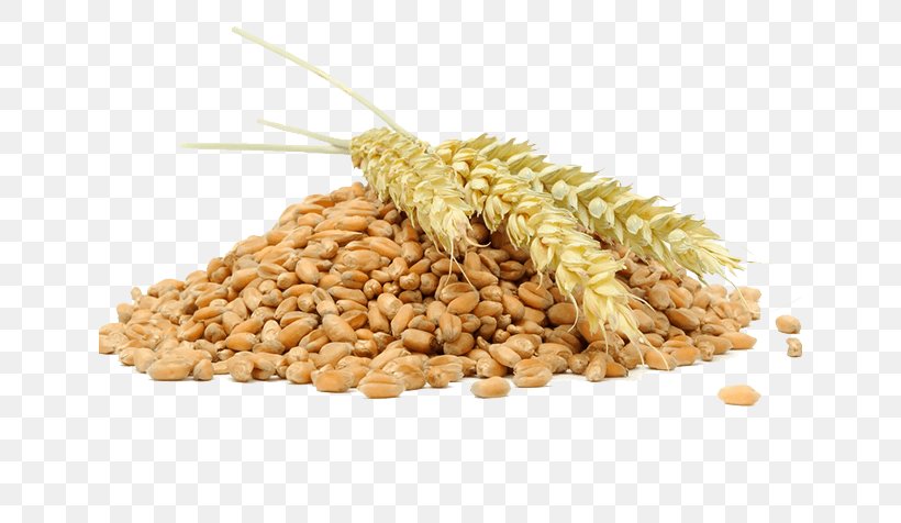 Indian Family, PNG, 640x476px, Bulgur, Barley, Bread, Cereal, Cereal Germ Download Free