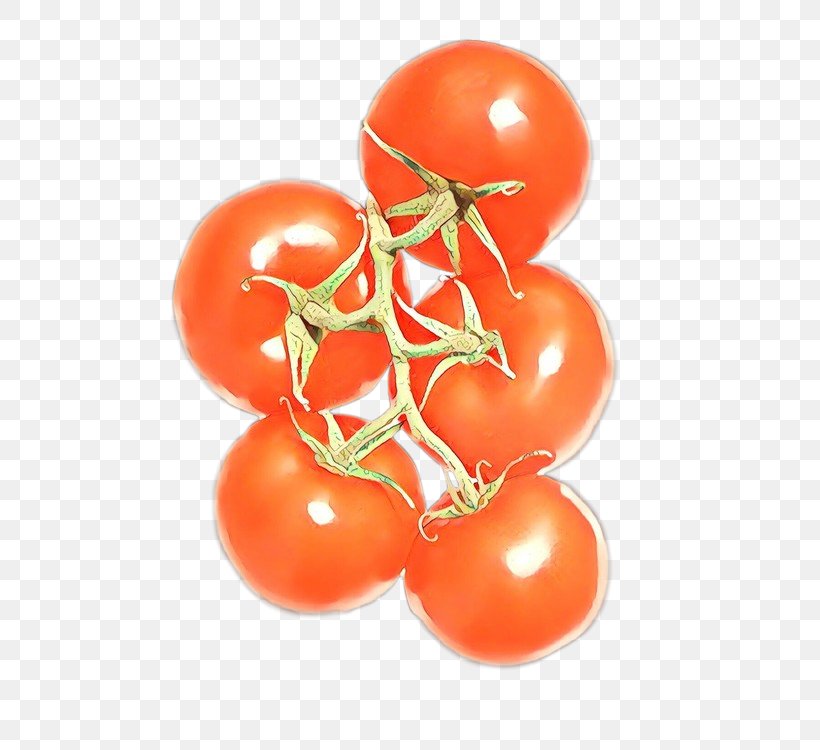 Plum Tomato Cherry Tomato Fruit Food, PNG, 500x750px, Plum Tomato, Cherry Tomato, Cherry Tomatoes, Food, Fruit Download Free