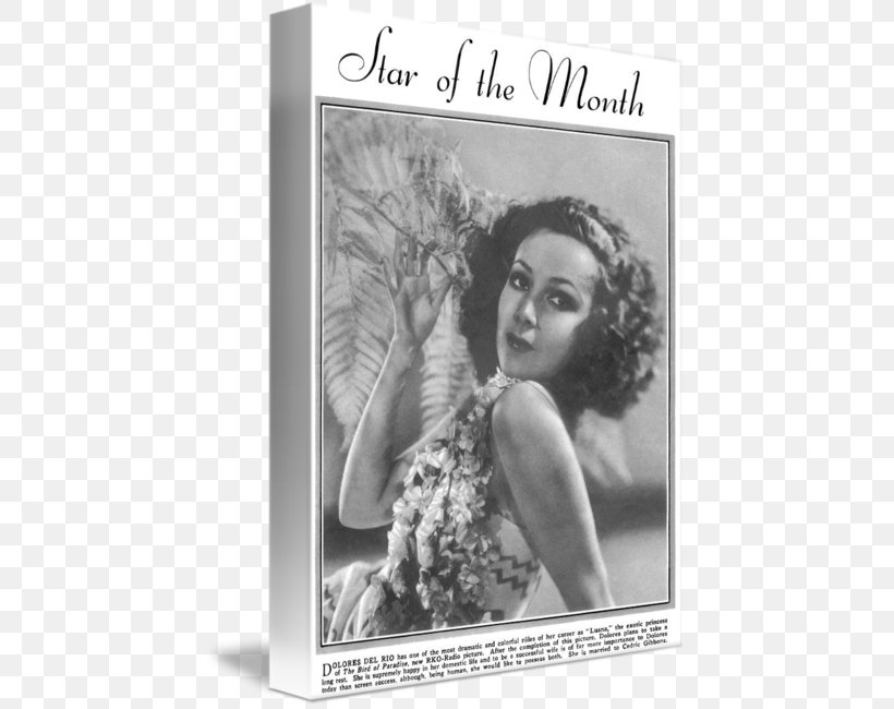 Dolores Del Río Picture Frames Gallery Wrap Canvas, PNG, 441x650px, Picture Frames, Antique, Art, Black And White, Canvas Download Free
