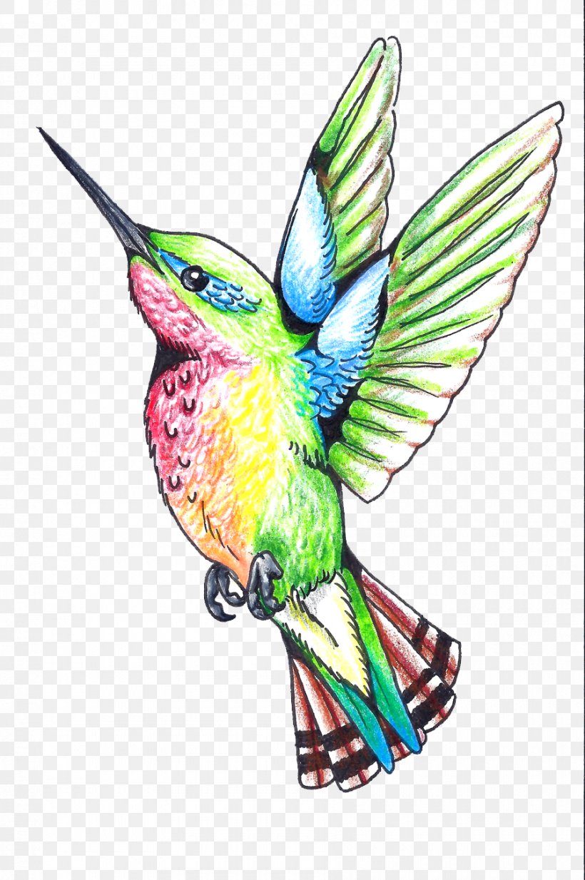 Hummingbird Beak Wing Feather Illustration, PNG, 900x1355px, Hummingbird, Beak, Bird, Black And Gray, Deviantart Download Free