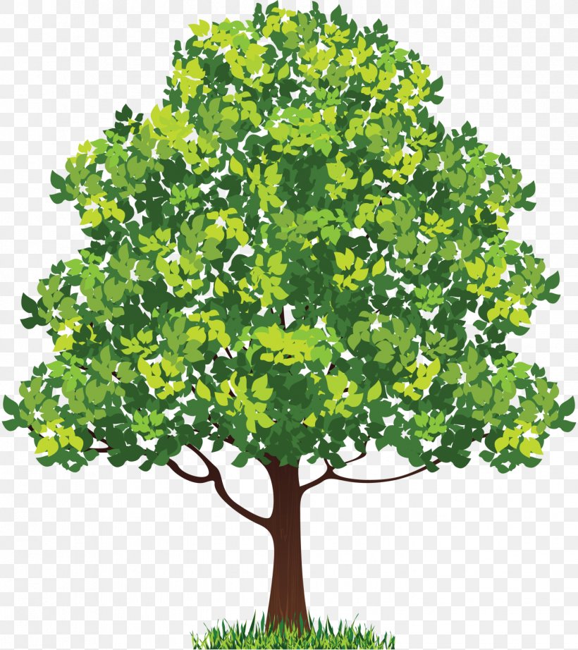 Tree Royalty-free, PNG, 1429x1607px, Tree, Branch, Evergreen, Grass, Herb Download Free