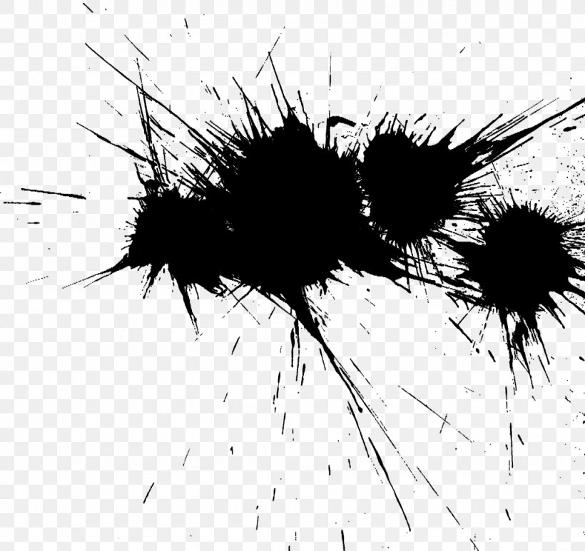 Black And White Photography Clip Art, PNG, 1024x966px, Black And White, Black, Close Up, Invertebrate, Membrane Winged Insect Download Free
