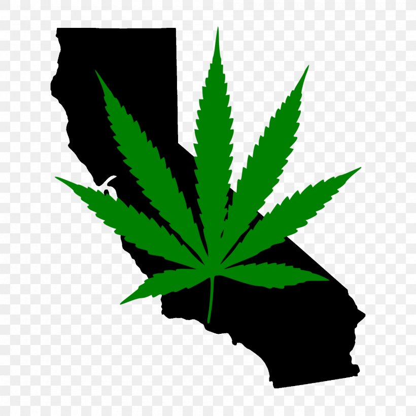 California U.S. State Royalty-free, PNG, 2000x2000px, 51st State, California, Cannabis, Hemp, Hemp Family Download Free