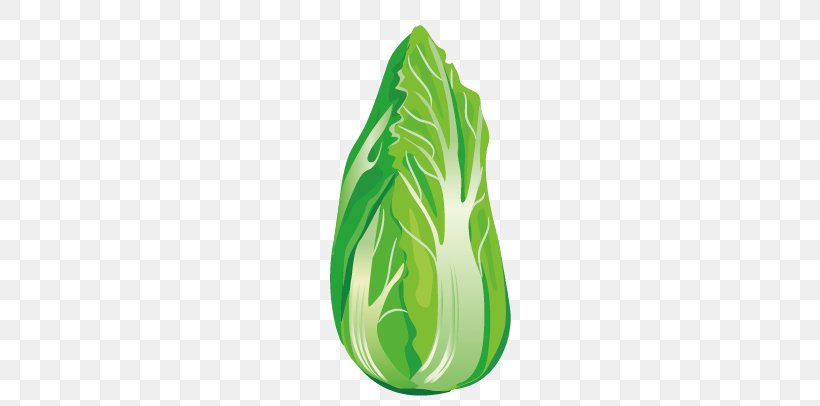 Chinese Cabbage Iceberg Lettuce Napa Cabbage, PNG, 721x406px, Cabbage, Brassica Oleracea, Chinese Cabbage, Gratis, Green Download Free