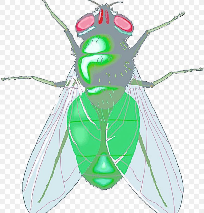 Housefly Free Content Clip Art, PNG, 925x966px, Watercolor, Cartoon, Flower, Frame, Heart Download Free
